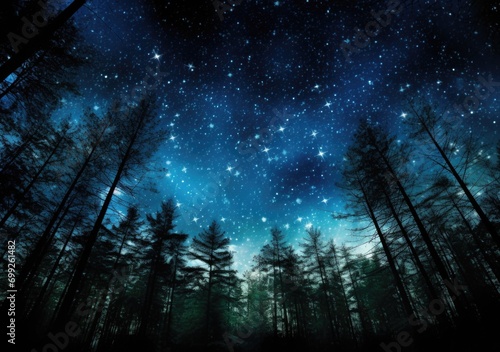  stars in the night sky showing through pine trees