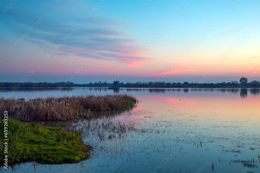 Beautiful lagoon landscape with birds in the Doñana National Park, Huelva, Anadalucia, Spain, at sunset