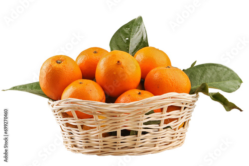 tangerines in a basket isolated on white background