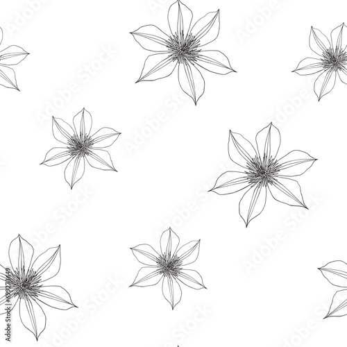 Delicate vector linear flowers of clematis seamless pattern. Hand drawn simple elements. Elegant floral background for design packaging textile wallpaper fabric