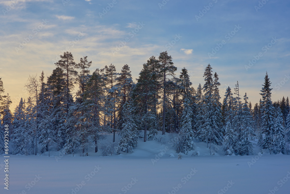 Images from rural Toten and the Totenaasen Hills during Christmas holidays.
