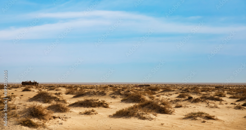 Panorama of landscape Sahara desert with sandy dunes and  vegetations sunny summertime day. Photo of view desert hills with sand, blue sky. Sahara, Tozeur city, Tunisia, Africa. Copy ad text space