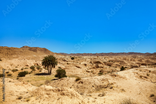 View of landscape Sahara desert - sandy dunes with stones rocks at blue sky. Photo of scenery desert hills with sand at sunny summer day. Sahara, Tozeur city, Tunisia, Africa. Copy ad text space
