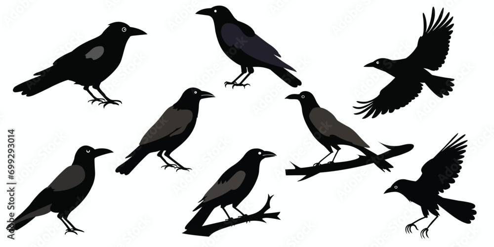 Obraz premium Crow silhouettes set. Vector illustration