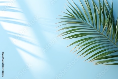 Shadow from palm leaves on the light blue wall.