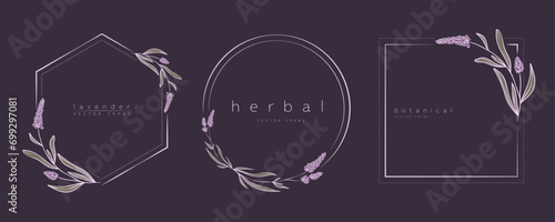 Set of lavender frame templates in minimal linear style with hand drawn branches and leaves. Botanical vector illustration for labels, corporate identity, wedding invitation, logo, save the date