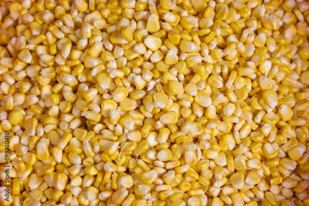 Corn kernels on the market in Vietnam. Corn kernels on the market in Vietnam.