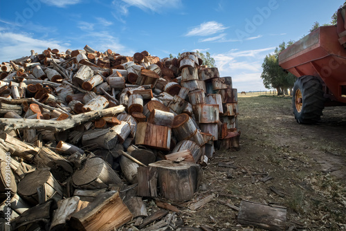 Rural landscape, logs stacked for heating, part of a cart and horse grazing in the background