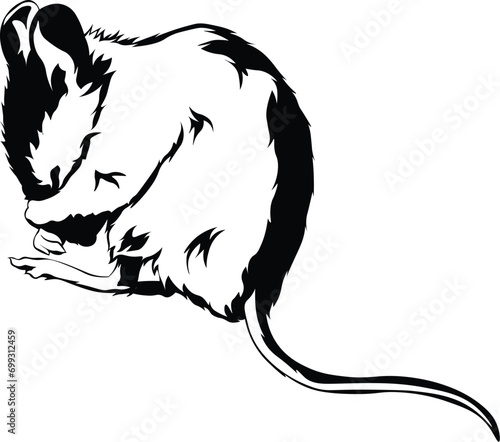 Cartoon Black and White Isolated Illustration Vector Of A Field Mouse Sleeping