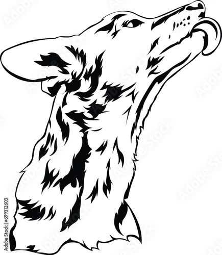 Cartoon Black and White Isolated Illustration Vector Of A Wild Dog Licking