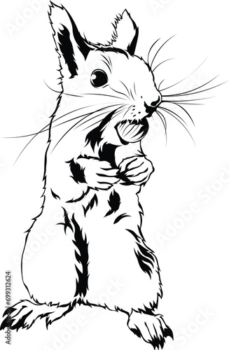 Cartoon Black and White Isolated Illustration Vector Of A Squirrel with A Nut In Its Mouth