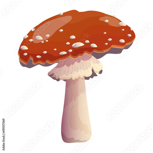 Cartoon fly mushroom. Amanita mushroom with a red cap and white spots, vector illustration. Type of forest mushrooms. Organic mushroom, poisonous mushroom.
