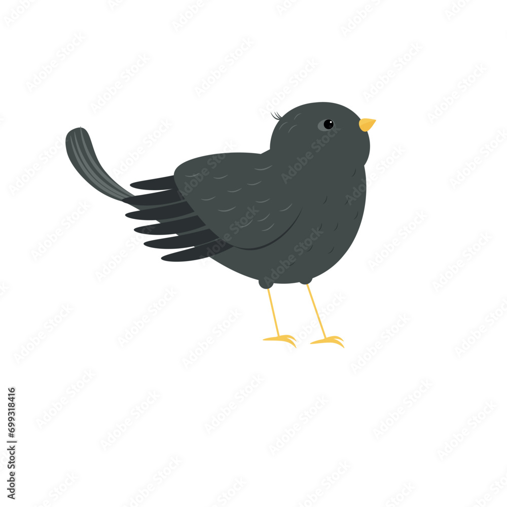 Obraz premium Web Bird Starling isolated on white background.