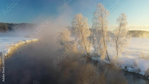 View of the frozen river at dawn. Snowy trees on the shore in winter