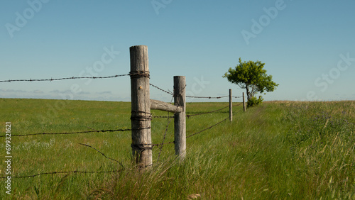 fence in the field