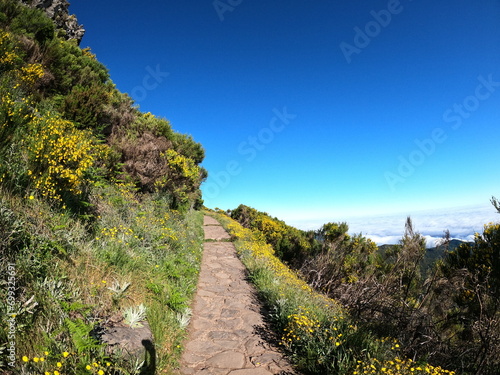 Madeira hike