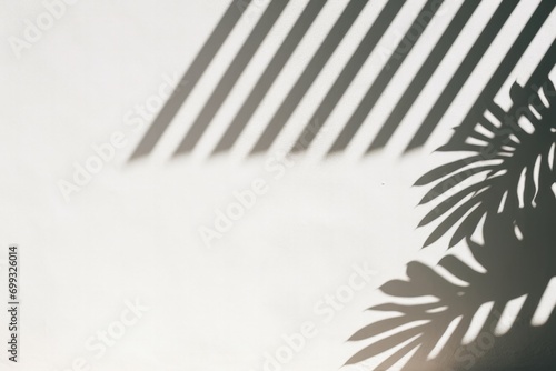 Sharp palm leaves, floral leaf shadows on a clean, white surface.