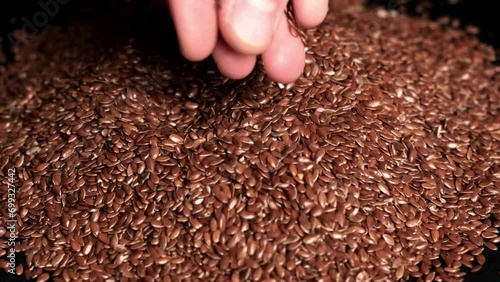 Flax seeds. The hand takes a pinch of seed photo