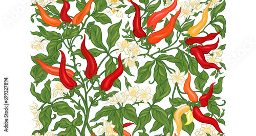 Hot chilly pepper plant with fruits and flowers Seamless pattern, background. Vector illustration. In art nouveau style, vintage, old, retro style.