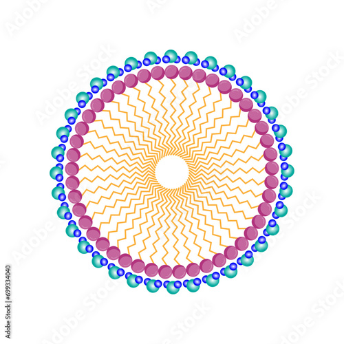 Micelle Structure, Soap Molecule, Micelle Formation. Vector illustration.	
