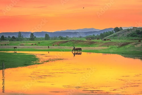 Morning colour on the banks of the Selenge River. Bulgan Province, Mongolia, Asia photo