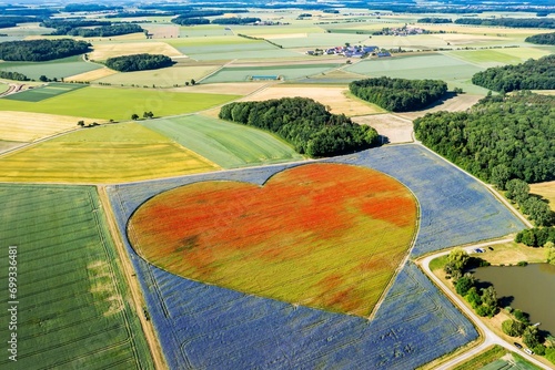Flowering heart of cornflowers (Centaurea cyanus) and poppies (Papaver) . On an area of ten hectares, 12.5 million poppy blossoms bloom in the Hohenlohe plain alone, drone photo, Blaufelden photo