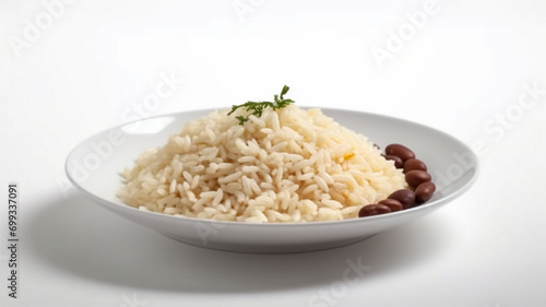 Plate of Rice - Food Plate