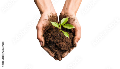 hands holding a plant isolated on white