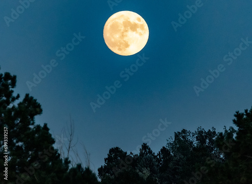 Dark full moon with detail. very gloomy deep blue sky and the silhouette of trees along the landscape. copy space evening photograph