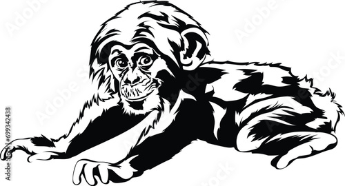 Cartoon Black and White Isolated Illustration Vector Of A Lemur Monkey Primate