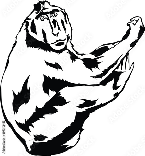 Cartoon Black and White Isolated Illustration Vector Of A Black Macaque Monkey