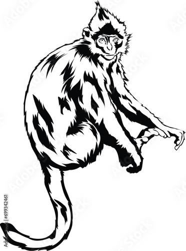 Cartoon Black and White Isolated Illustration Vector Of A Lemur Monkey Primate