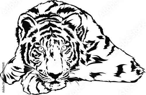 Cartoon Black and White Isolated Illustration Vector Of A Tiger Laying Down
