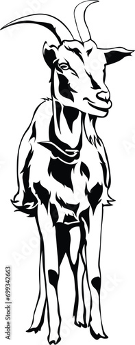 Cartoon Black and White Isolated Illustration Vector Of A Horned Billy Goat 
