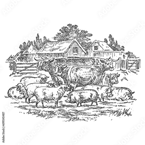 Farm Animals Illustration Clip Art Design Shape. Livestock  Silhouette Icon Vector.