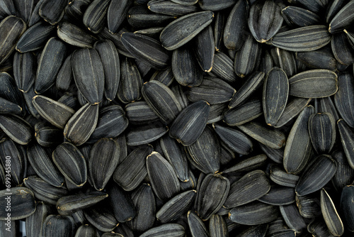 black sunflower seeds top view macro