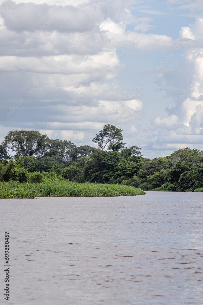 paisagem natural na cidade de Corumbá, região do Pantanal Sul, Estado do Mato Grosso do Sul, Brasil