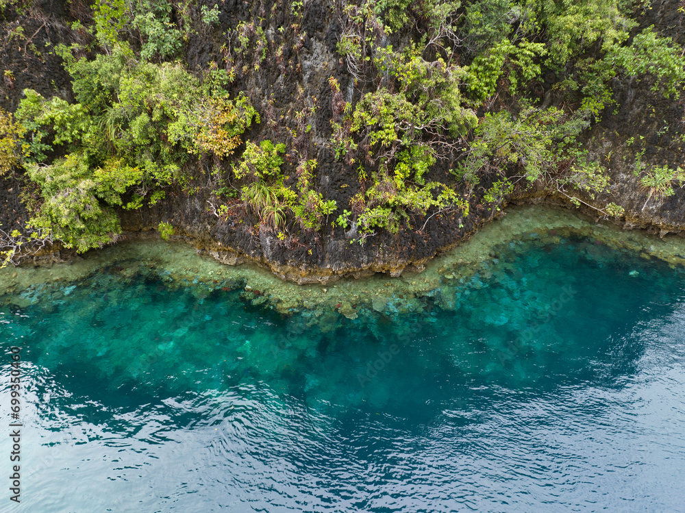 Limestone islands are fringed by impressive reefs in Misool, Raja Ampat, Indonesia. These scenic islands' coral reefs, and the surrounding seas, support extraordinary marine biodiversity.