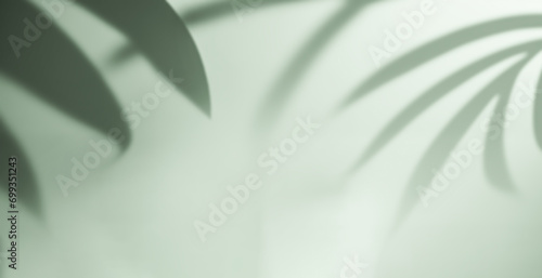 Palm leaf shadow on a green wall background. Olive color stylish flat lay with trendy shadow for product presentation, backdrop and mockup 
