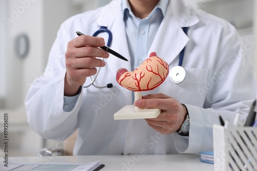 Gastroenterologist showing human stomach model at table in clinic, closeup photo