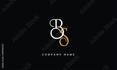 SB, BS, S, B Abstract Letters Logo Monogram photo