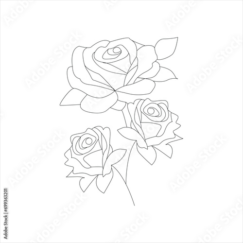 Rose one continuous line drawing. Floral flower natural design. Graphic, sketch drawing. rose 