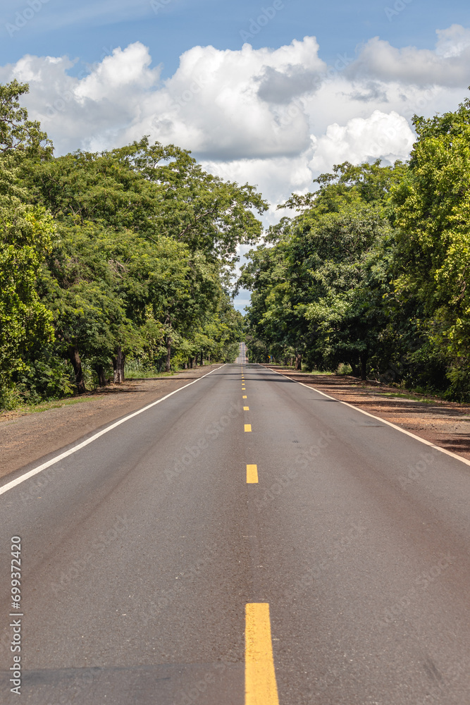 paisagem natural na cidade de Corumbá, região do Pantanal Sul, Estado do Mato Grosso do Sul, Brasil paisagem natural na cidade de Corumbá, região do Pantanal Sul, Estado do Mato Grosso do Sul, Brasil