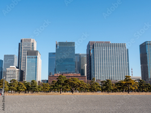 冬の皇居外苑　冬晴れの青空と東京丸の内のビル群