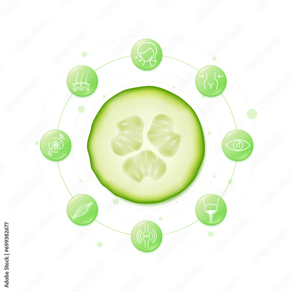 Green cucumber slice fruits rich in vitamins minerals from natural