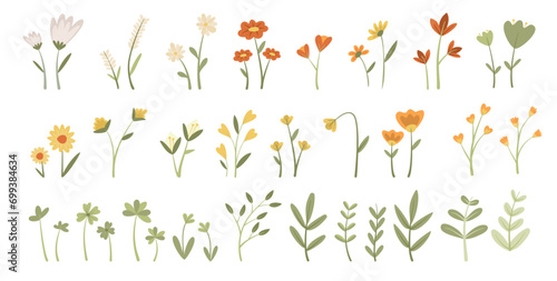 vector flowers simple doodle plants botanical