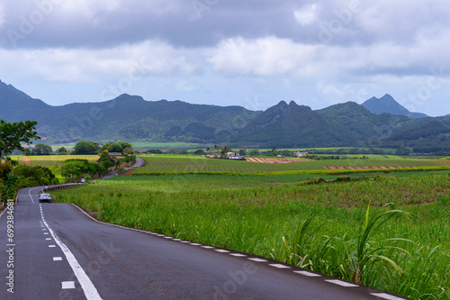 Foto Green sugarcane plantations against the backdrop of volcanic mountains on the is
