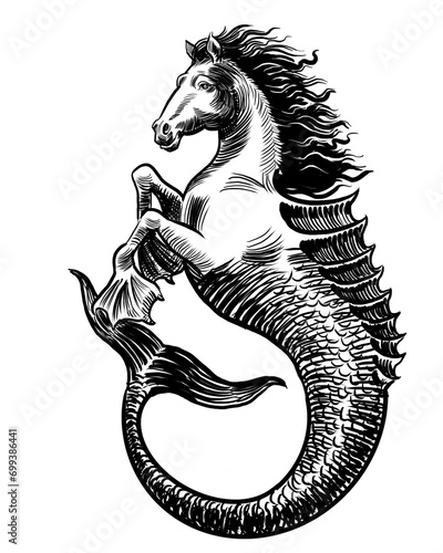 Mythological hippocampus animal. Hand-drawn black and white illustration photo