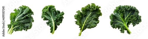 Collection of PNG. Kale isolated on a transparent background. photo