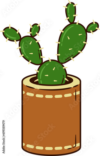 Cute Cactus Plant in Pot